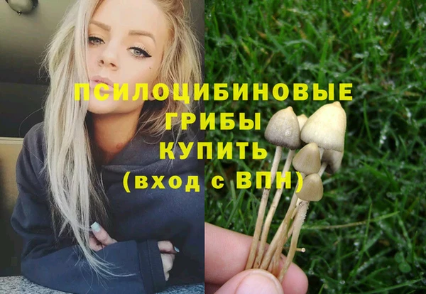 хмурый Алексеевка